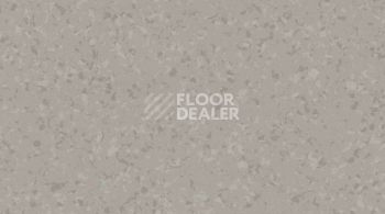 Линолеум Gerflor Mipolam Symbioz 6039 PEBBLE фото 1 | FLOORDEALER